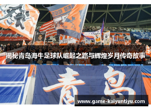 揭秘青岛海牛足球队崛起之路与辉煌岁月传奇故事